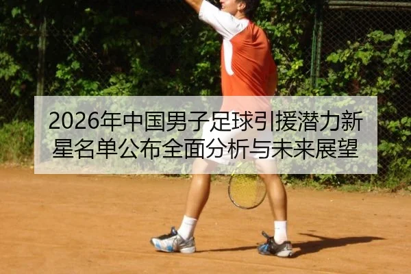 2026年中国男子足球引援潜力新星名单公布全面分析与未来展望